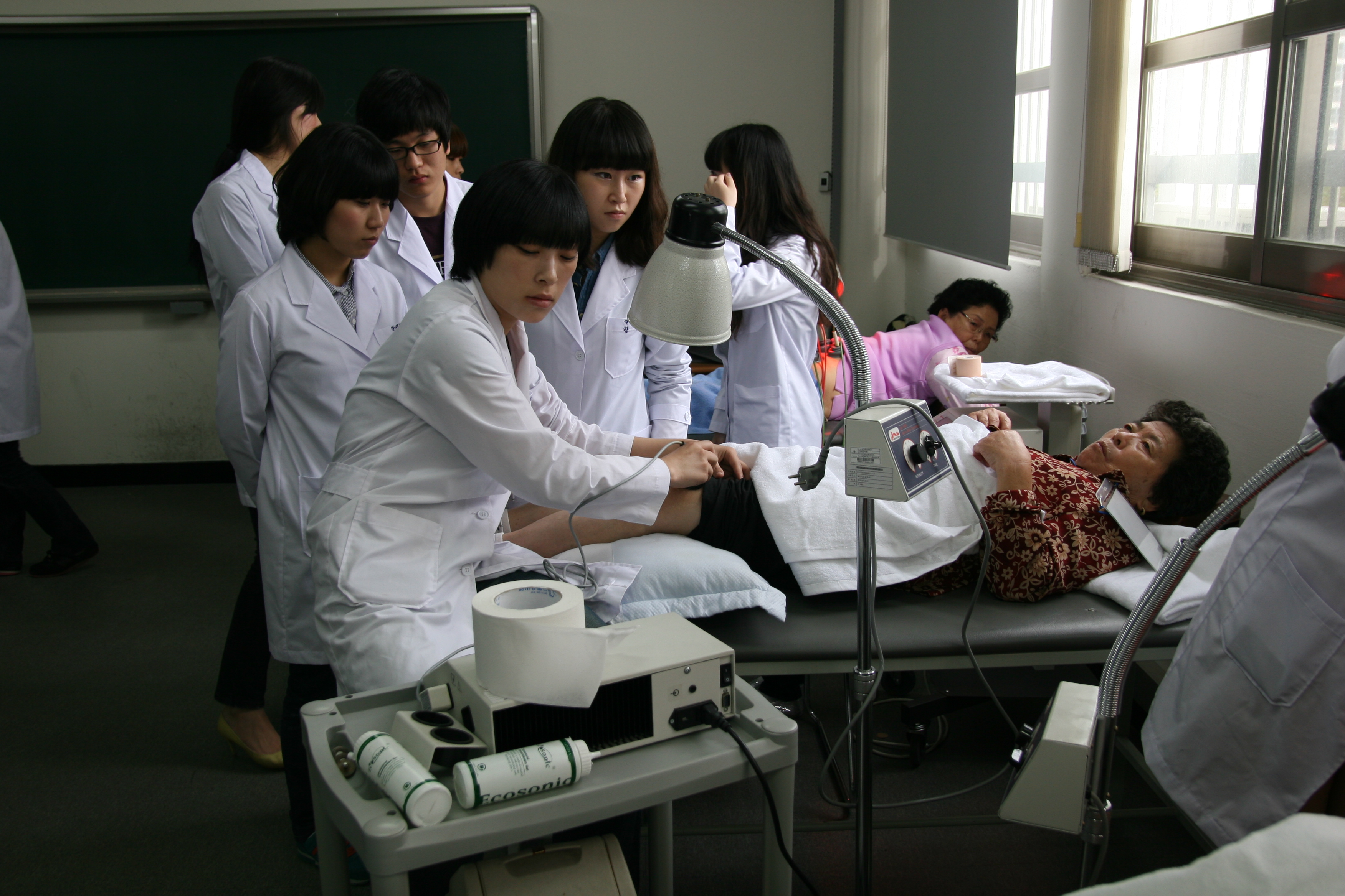 불갑사상사화 065.jpg